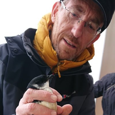 Jeff Clarke - Twitter Profile Picture of Jeff Clarke (@birderjeff) on Twitter