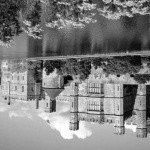 Profile Picture of seward (@ocuft04955brad) on Instagram