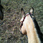 Profile Picture of Shelly Seaton (@ssseaton55) on Instagram