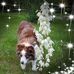 Profile Picture of Stefan Ionescu (@stefan.ionescu.9275) on Facebook
