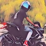 Profile Picture of Tropic Pulse (@_tropic_pulse_) on Instagram