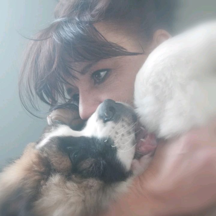 Profile Picture of Bianca Monika Monique (@moniquevanderploeg0) on Tiktok