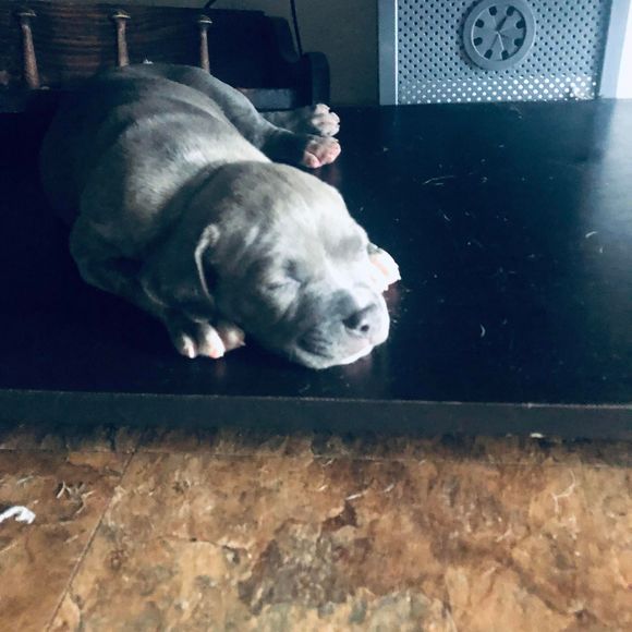 Profile Picture of Faythe Curry (@dominaccurry987) on Poshmark