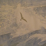 Profile Picture of Paul Burns (@pauljoburns) on Flickr