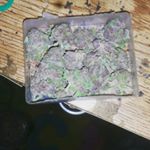 Profile Picture of mark wayne Hiscock J (@junior_420_hiscock) on Instagram