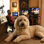 Profile Picture of George Brenner (@brenner.george) on Instagram