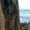 Profile Picture of lorettawreederx (@@lorettawreederx) on Tiktok