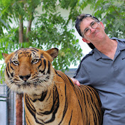 Profile Picture of Stuart Cohen (@scohen61) on Youtube