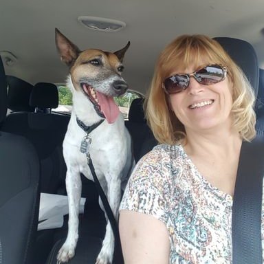 Profile Picture of Vicki Tanner (@vstevenstanner) on Twitter