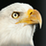 Profile Picture of Kevin Wood (@kdwood2) on Flickr