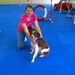 Profile Picture of Debra Fogle (@nw50) on Pinterest