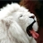 Profile Picture of J. McGuire (@J. McGuire) on Flickr