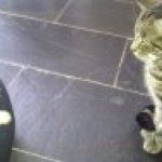 David Bickford - Instagram Profile Picture of David Bickford (@oxman66) on Instagram