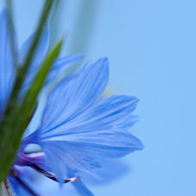 Profile Picture of Ahmed Alsaadi (@ahmedalsaadi97) on Twitter