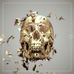 Profile Picture of Jaime Azurmendi (@jaime.azurmendi) on Facebook
