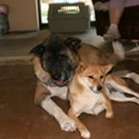 Profile Picture of Paul Gomez (@paul-gomez-23) on Quora