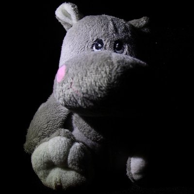 Profile Picture of Marcus De Silva (@marc_ky) on Twitter