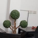 Profile Picture of James Morrow (@James-Morrow) on Facebook