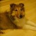 Profile Picture of Yongzhi Zhang (@yongzhi.zhang.372) on Facebook
