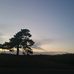 Profile Picture of Cynthia Segers (@cynthia.segers.71) on Facebook