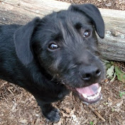 Profile Picture of Jon Schiavi (@thegreaser01) on Youtube