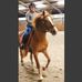 Profile Picture of Alisha Akker (@alisha.akker.1) on Facebook