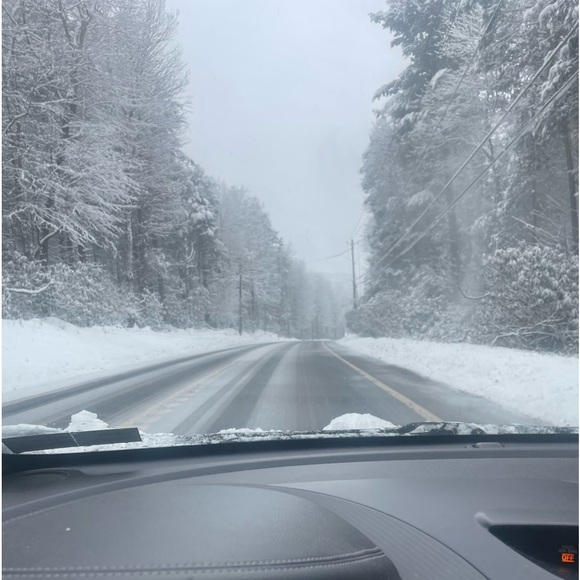 Profile Picture of Phoebe Bramley (@pebe429) on Poshmark