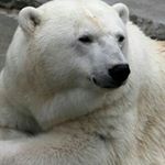 Profile Picture of Adam Thrasher (@adamthrasher2.0) on Instagram