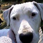 Profile Picture of Nicholas Dutro (@nrdutro) on Facebook