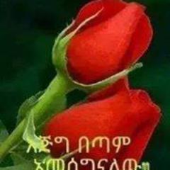 Profile Picture of Mesfin Alemu (@twittmesfin7) on Twitter