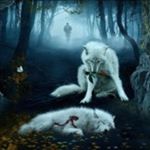 Profile Picture of Alex Mensen (@mensen.alex) on Instagram