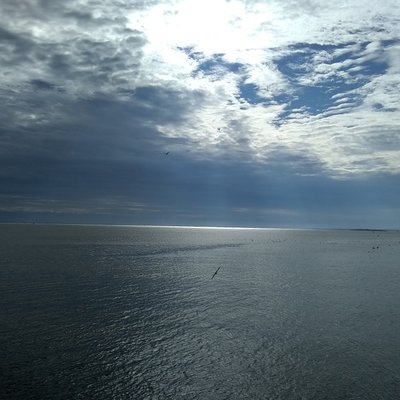 Profile Picture of Steve Mandel (@mehl65) on Twitter