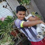 Profile Picture of gino roman (@_ginoespinoza) on Instagram