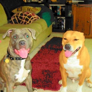 Profile Picture of Bryan Short (@191914478) on Myspace