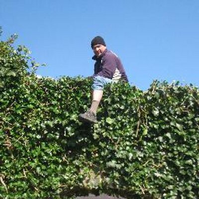 Profile Picture of David Schindler (@bandbdave) on Twitter