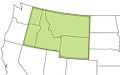 Profile Picture of American Redoubton Wikipedia