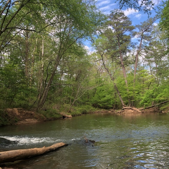 Profile Picture of James Kamau (@tsedek371) on Poshmark