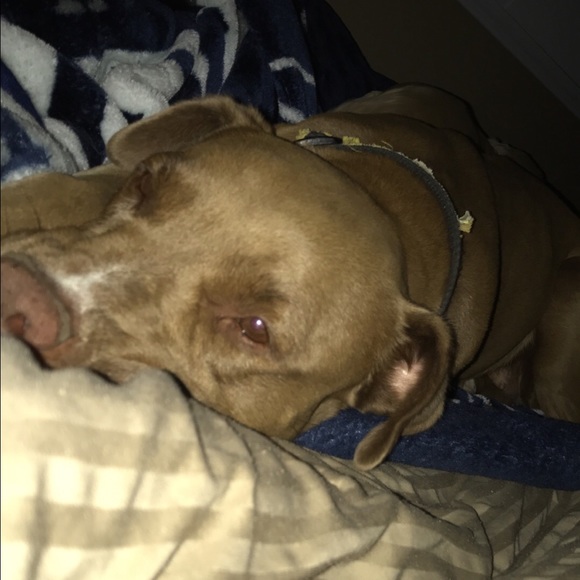 Profile Picture of Blake Sterling (@blaesterling) on Poshmark