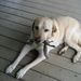 Profile Picture of Thomas Ryals (@tryals51) on Pinterest