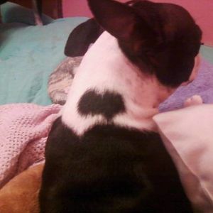 Profile Picture of Jennifer Magner (@jenhartline) on Myspace