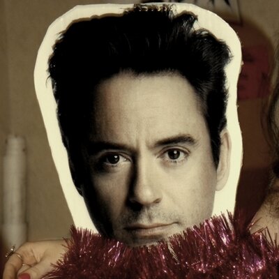 Robert_Downey_Carton - Twitter Profile Picture of Robert_Downey_Carton (@Bob_Cardboard) on Twitter