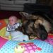 Profile Picture of Gordon Mcdougall (@gordie141) on Pinterest