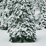 Profile Picture of Laura Irizarry (@laura.irizarry.1485) on Instagram