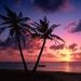Profile Picture of David Radulski (@davidradulski) on Pinterest