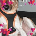 Profile Picture of Eric Rösler (@Eric-Rösler) on Facebook