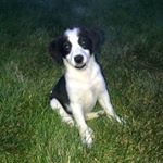 Profile Picture of Ivy Henderson (@ivy_hendo) on Instagram