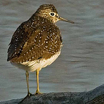 Profile Picture of P  Regnier (@Door County Paul's Fotos) on Flickr