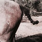 Profile Picture of Alejandro Acevedo (@alejandroacevedofficial) on Instagram