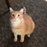 Profile Picture of Gerard Powers (@gerard.and.louis) on Instagram