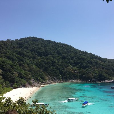 Profile Picture of Simon Rees (@simonw_rees) on Twitter